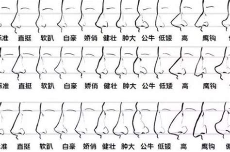 福鼻面相|相学最有福气的7种鼻子，七大有福之鼻